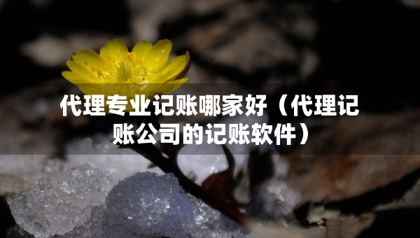 代理专业记账哪家好（代理记账公司的记账软件）