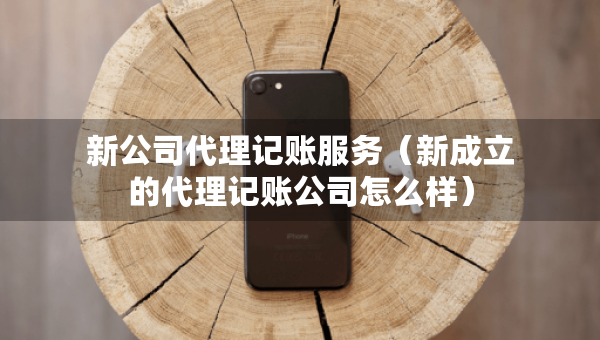 新公司代理记账服务（新成立的代理记账公司怎么样）