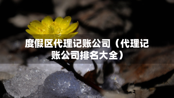 度假区代理记账公司（代理记账公司排名大全）