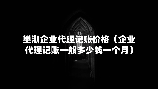 巢湖企业代理记账价格（企业代理记账一般多少钱一个月）