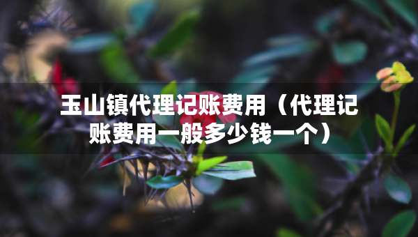 玉山镇代理记账费用（代理记账费用一般多少钱一个）