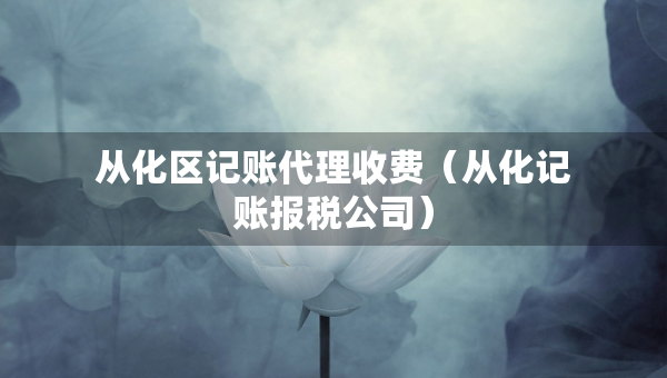 从化区记账代理收费（从化记账报税公司）