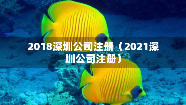 2018深圳公司注册（2021深圳公司注册）