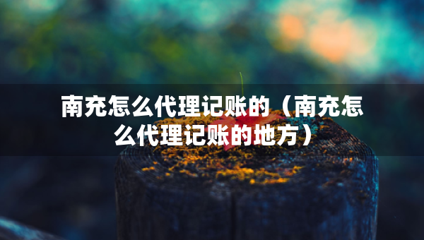 南充怎么代理记账的（南充怎么代理记账的地方）