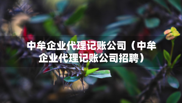 中牟企业代理记账公司（中牟企业代理记账公司招聘）