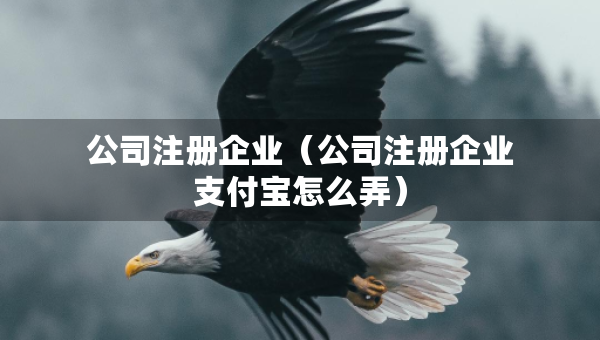 公司注册企业（公司注册企业支付宝怎么弄）