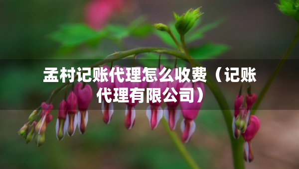 孟村记账代理怎么收费（记账代理有限公司）