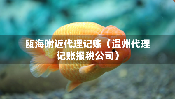 瓯海附近代理记账（温州代理记账报税公司）