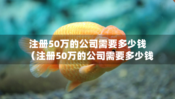 注册50万的公司需要多少钱（注册50万的公司需要多少钱一个月）