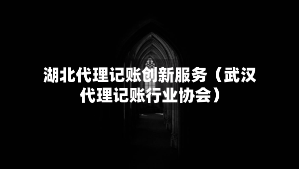 湖北代理记账创新服务（武汉代理记账行业协会）