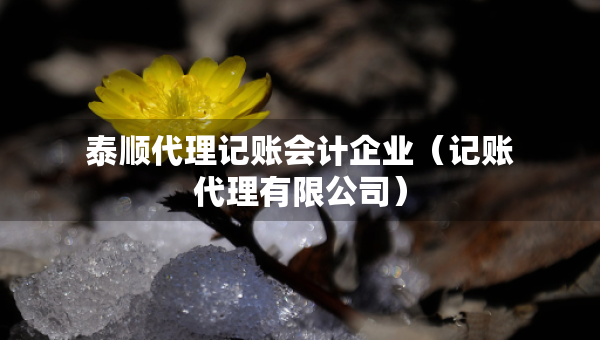 泰顺代理记账会计企业（记账代理有限公司）