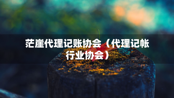 茫崖代理记账协会（代理记帐行业协会）