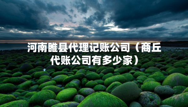 河南睢县代理记账公司（商丘代账公司有多少家）