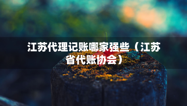 江苏代理记账哪家强些（江苏省代账协会）