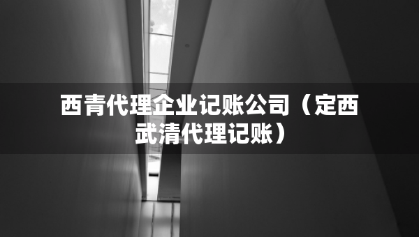 西青代理企业记账公司（定西武清代理记账）