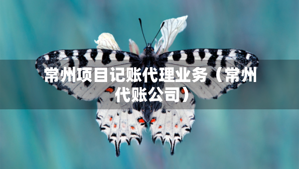 常州项目记账代理业务（常州 代账公司）