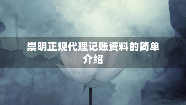 崇明正规代理记账资料的简单介绍