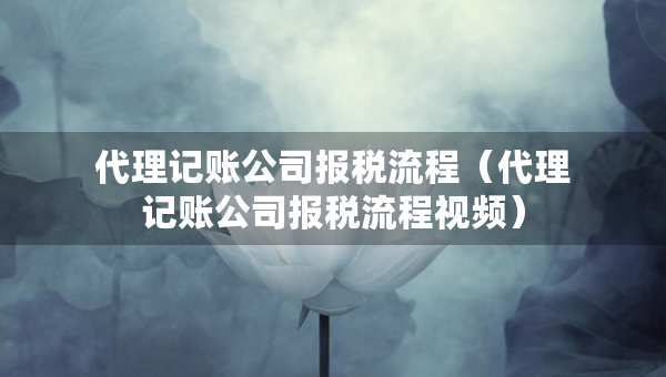 代理记账公司报税流程（代理记账公司报税流程视频）