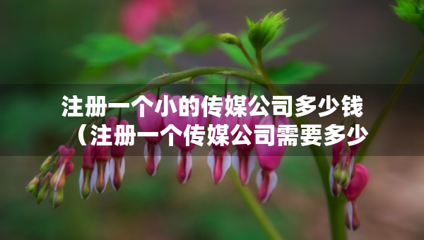 注册一个小的传媒公司多少钱（注册一个传媒公司需要多少资金）