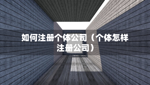 如何注册个体公司（个体怎样注册公司）