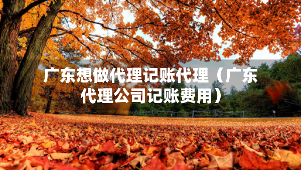 广东想做代理记账代理（广东代理公司记账费用）