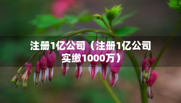 注册1亿公司（注册1亿公司实缴1000万）