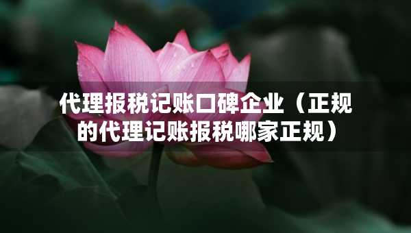 代理报税记账口碑企业（正规的代理记账报税哪家正规）