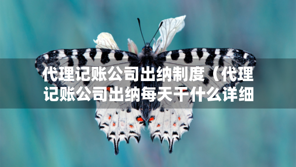 代理记账公司出纳制度（代理记账公司出纳每天干什么详细介绍）