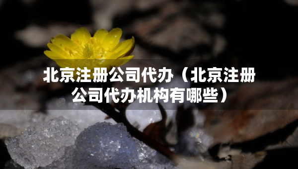 北京注册公司代办（北京注册公司代办机构有哪些）