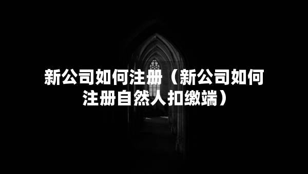 新公司如何注册（新公司如何注册自然人扣缴端）