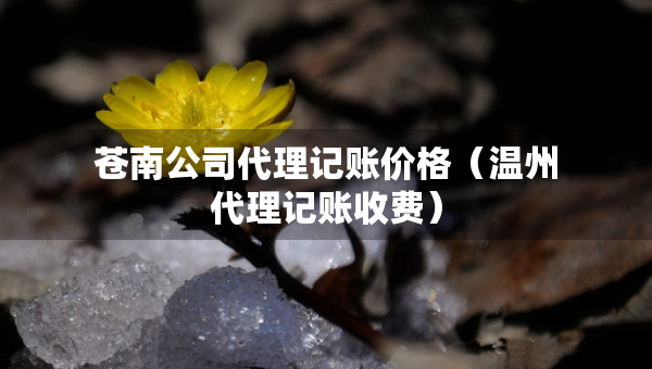 苍南公司代理记账价格（温州代理记账收费）