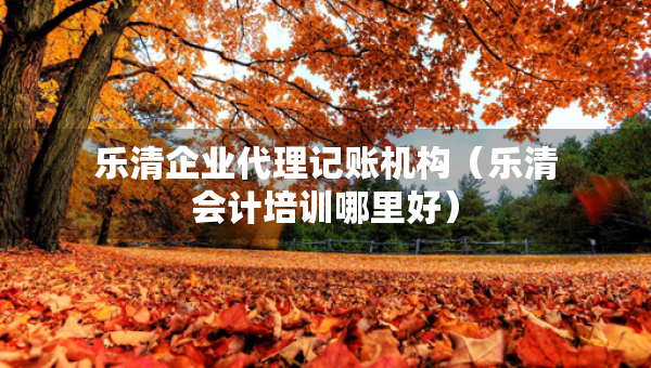 乐清企业代理记账机构（乐清会计培训哪里好）