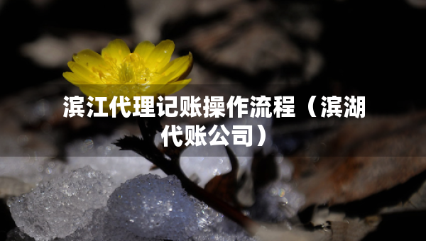 滨江代理记账操作流程（滨湖代账公司）