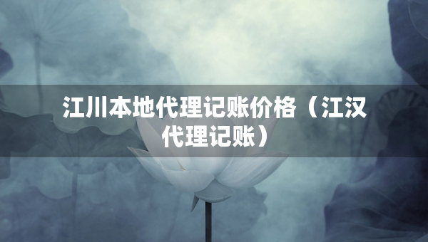 江川本地代理记账价格（江汉代理记账）