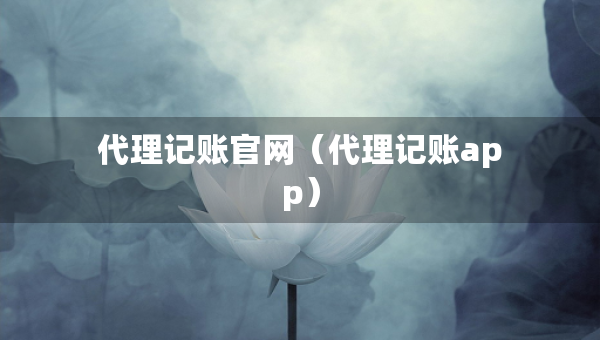 代理记账官网（代理记账app）