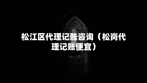 松江区代理记账咨询（松岗代理记账便宜）